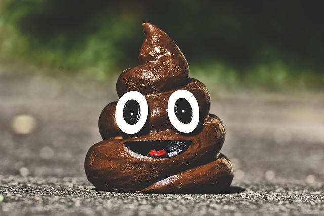 poop