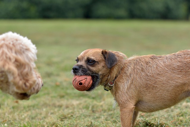 Hình ảnh minh họa ý nghĩa của từ possessive