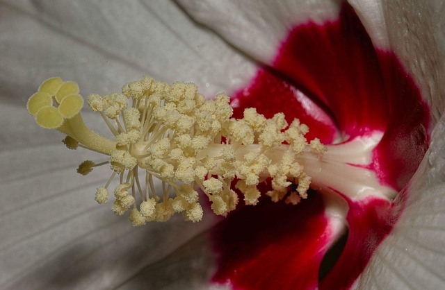 Hình ảnh minh họa ý nghĩa của từ postulate