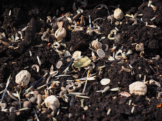 potting mix