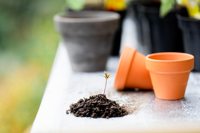 potting soil