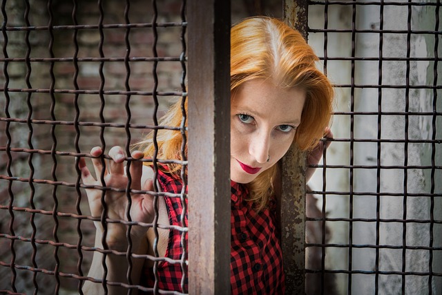 Hình ảnh minh họa ý nghĩa của từ power cage