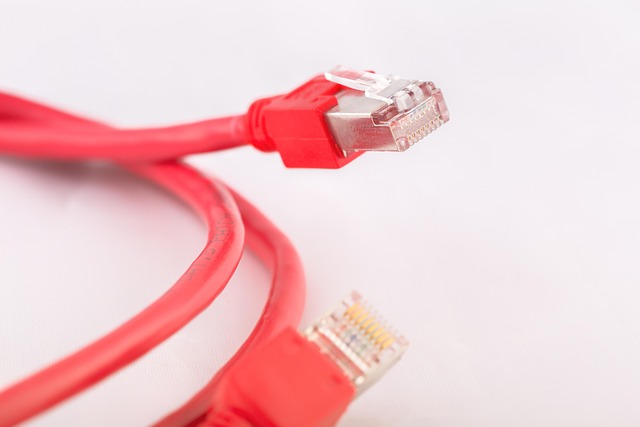 power cord