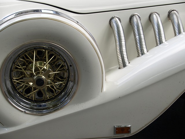 Hình ảnh minh họa ý nghĩa của từ power elite