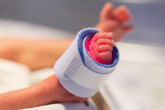 premature infant