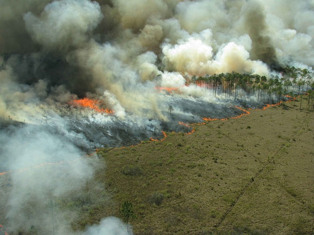Hình ảnh minh họa ý nghĩa của từ prescribed burn