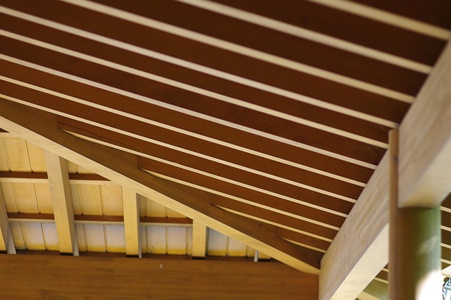 Hình ảnh minh họa ý nghĩa của từ present-day