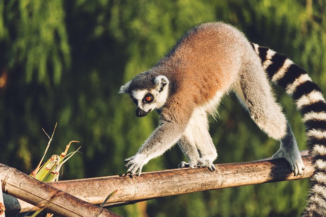 preserve equilibrium