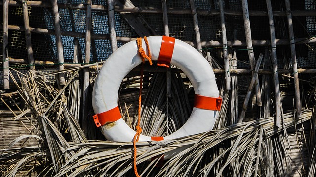 Hình ảnh minh họa ý nghĩa của từ preserver