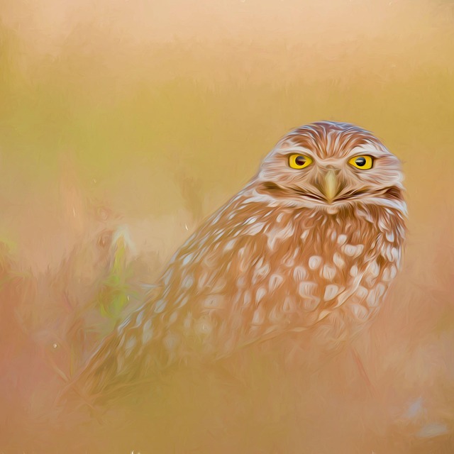 Hình ảnh minh họa ý nghĩa của từ prey