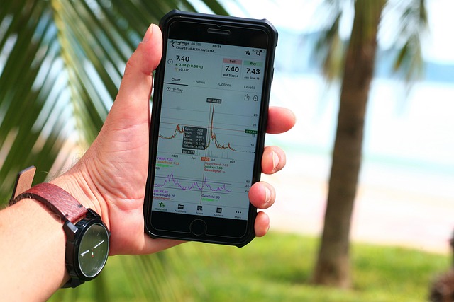 Hình ảnh minh họa ý nghĩa của từ price volatility