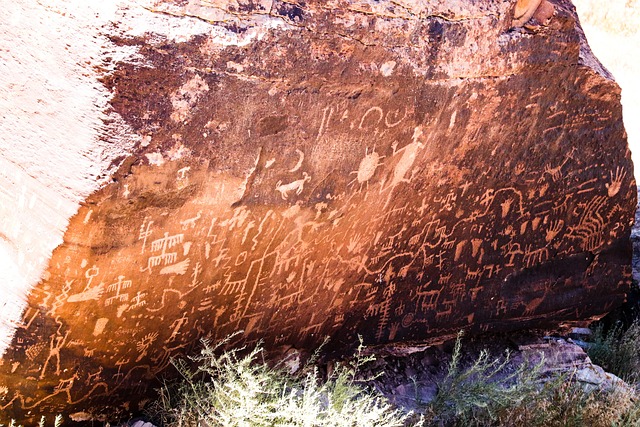 primitive culture