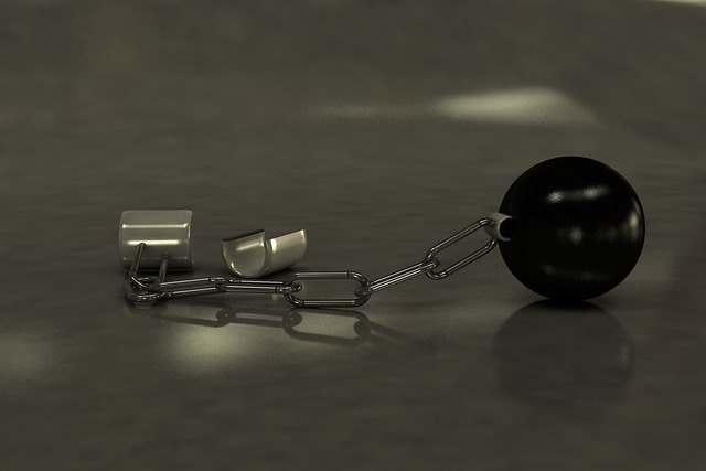 Hình ảnh minh họa ý nghĩa của từ prisoner