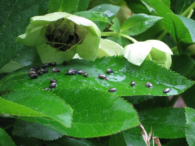 Hình ảnh minh họa ý nghĩa của từ product life cycle