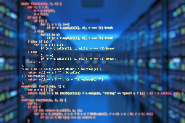 programming languages