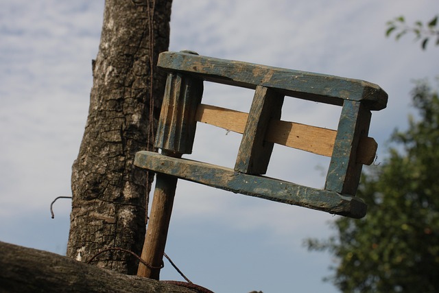 Hình ảnh minh họa ý nghĩa của từ prohibiting