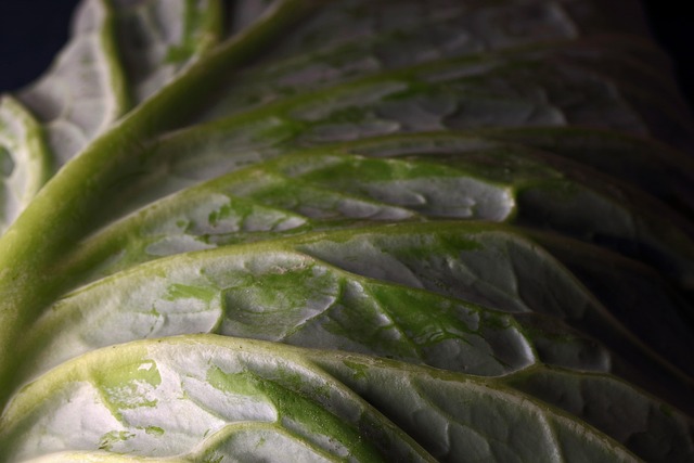 Hình ảnh minh họa ý nghĩa của từ pronounced