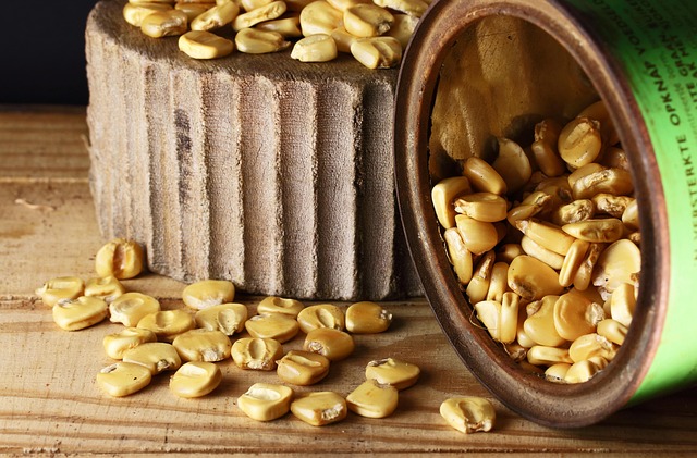 Hình ảnh minh họa ý nghĩa của từ propagating