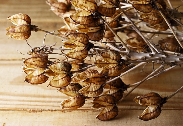 Hình ảnh minh họa ý nghĩa của từ propagation