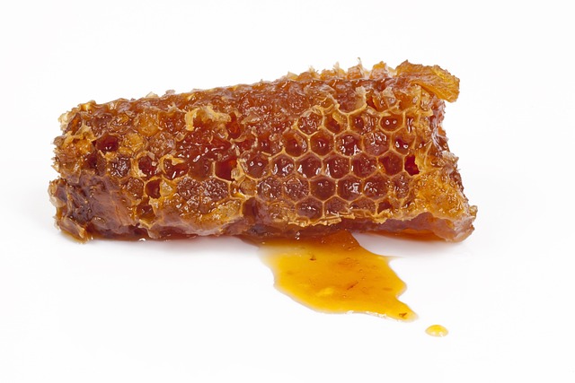 Hình ảnh minh họa ý nghĩa của từ propolis