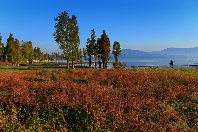 Hình ảnh minh họa ý nghĩa của từ proportion