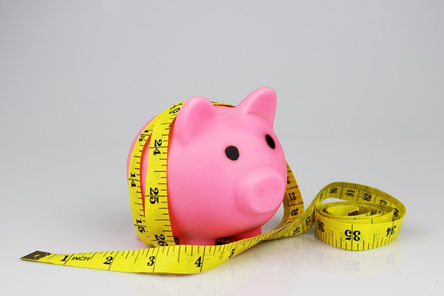 Hình ảnh minh họa ý nghĩa của từ proportionate