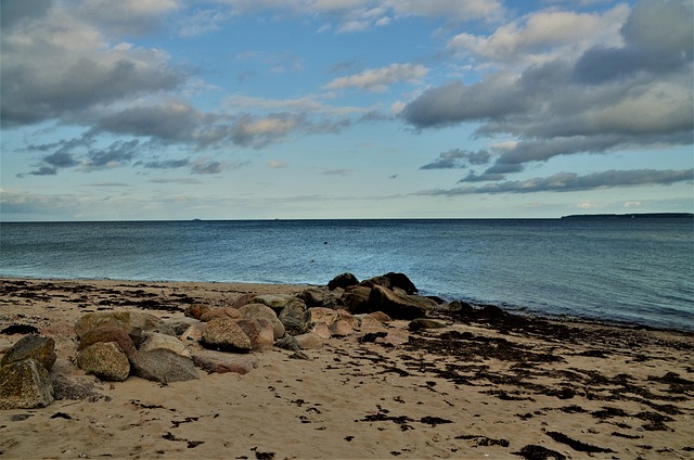 Hình ảnh minh họa ý nghĩa của từ protocols