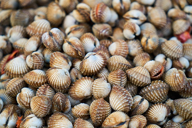 Hình ảnh minh họa ý nghĩa của từ psoriasis