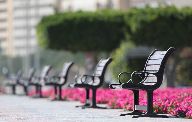 public park