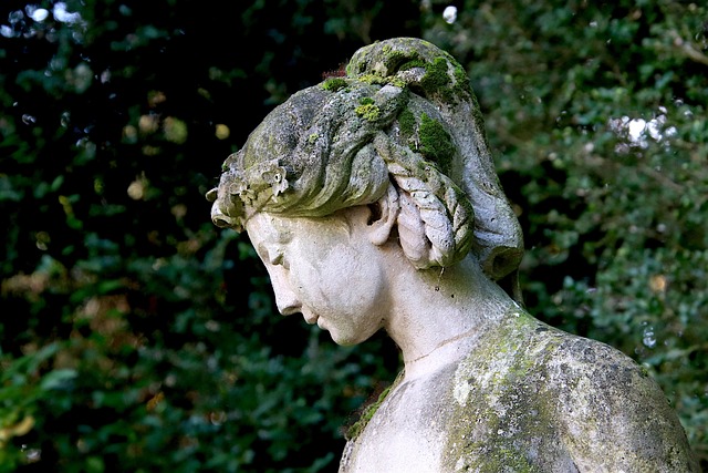 public profile