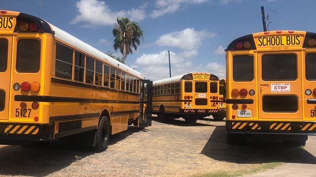 public school
