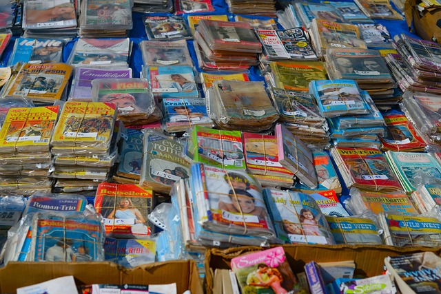 Hình ảnh minh họa ý nghĩa của từ pulp fiction