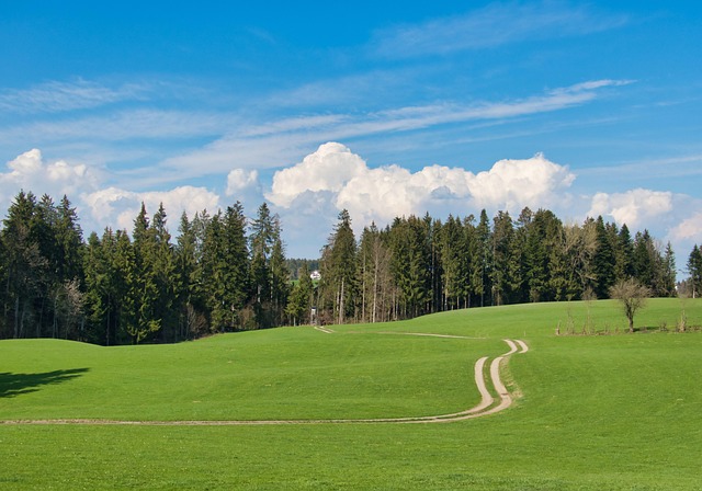 Hình ảnh minh họa ý nghĩa của từ pulpit