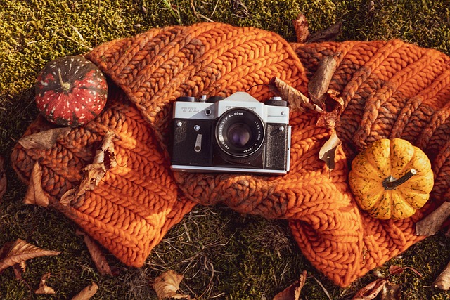 Hình ảnh minh họa ý nghĩa của từ pumpkin