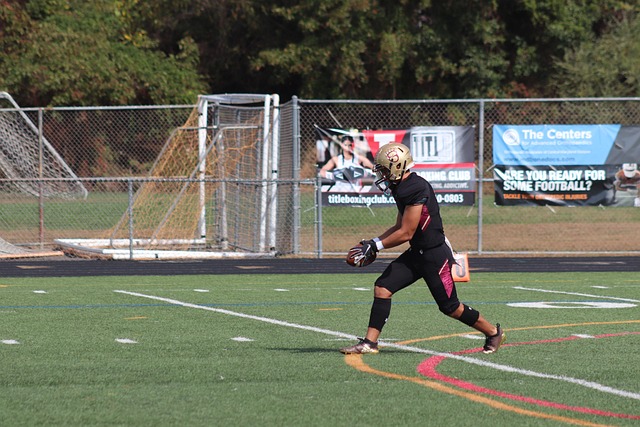 Hình ảnh minh họa ý nghĩa của từ punter