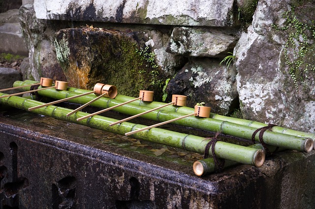 Hình ảnh minh họa ý nghĩa của từ purification