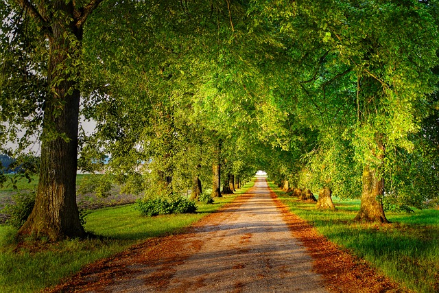 Hình ảnh minh họa ý nghĩa của từ purposeful