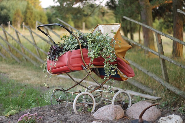 pushchair