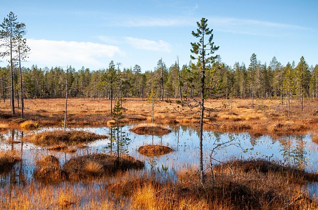 Hình ảnh minh họa ý nghĩa của từ quagmire