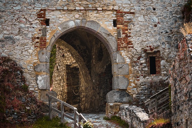 Hình ảnh minh họa ý nghĩa của từ rabies