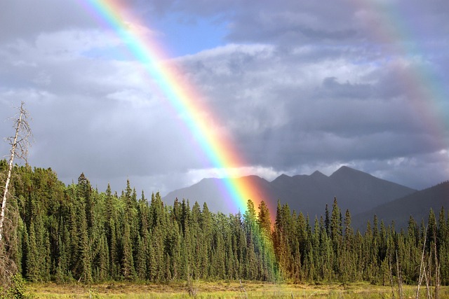 rainbow colors