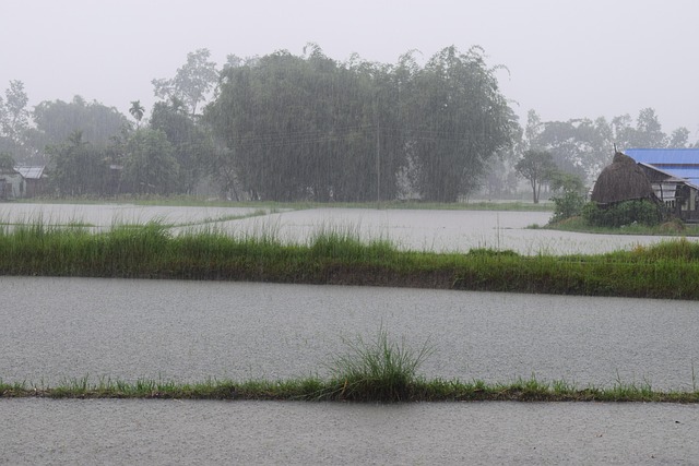 raining heavily