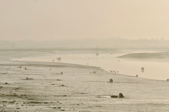 Hình ảnh minh họa ý nghĩa của từ rancid