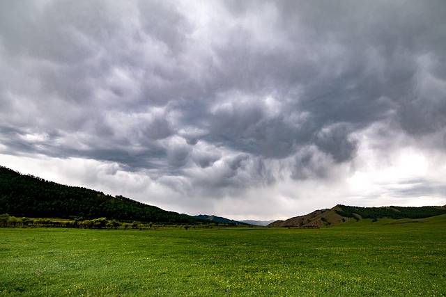 Hình ảnh minh họa ý nghĩa của từ rapidly