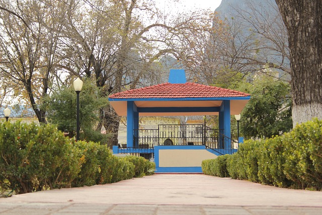 Hình ảnh minh họa ý nghĩa của từ rayon