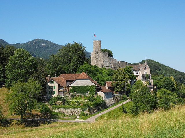 Hình ảnh minh họa ý nghĩa của từ real gdp