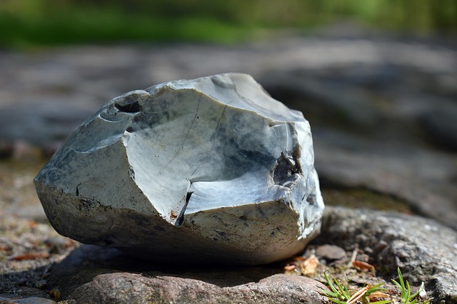 Hình ảnh minh họa ý nghĩa của từ reason