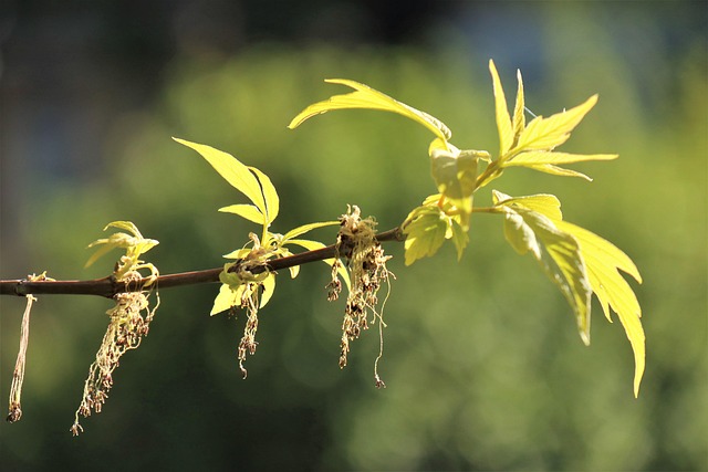 Hình ảnh minh họa ý nghĩa của từ recently