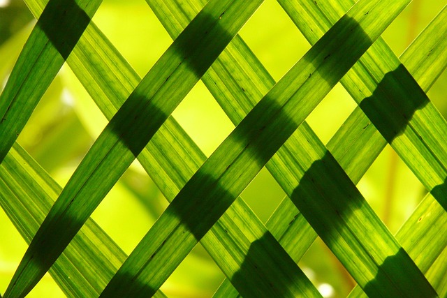 reciprocal lattice