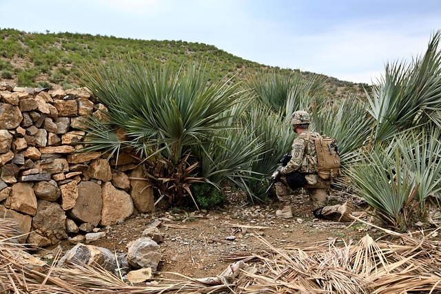 Hình ảnh minh họa ý nghĩa của từ reconnoiter